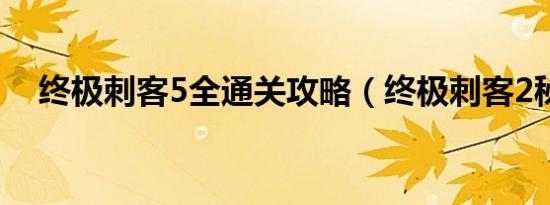 终极刺客5全通关攻略（终极刺客2秘籍）
