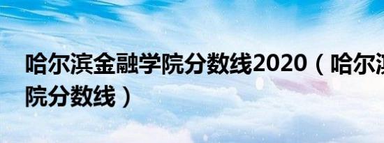 哈尔滨金融学院分数线2020（哈尔滨金融学院分数线）