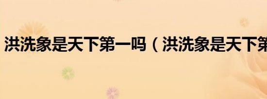 洪洗象是天下第一吗（洪洗象是天下第一吗）
