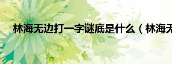 林海无边打一字谜底是什么（林海无边）