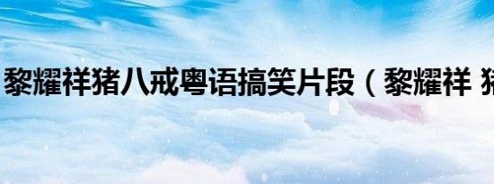 黎耀祥猪八戒粤语搞笑片段（黎耀祥 猪八戒）