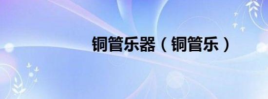 铜管乐器（铜管乐）