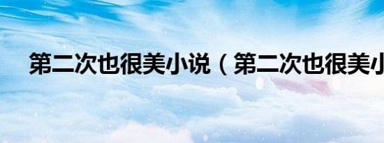 第二次也很美小说（第二次也很美小说）
