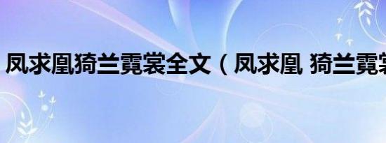 凤求凰猗兰霓裳全文（凤求凰 猗兰霓裳 txt）