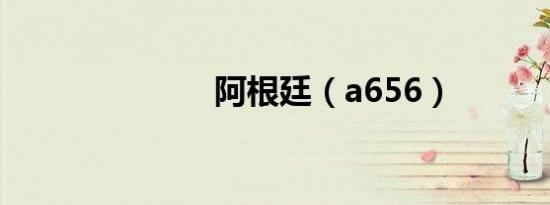 阿根廷（a656）