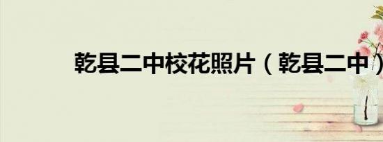 乾县二中校花照片（乾县二中）