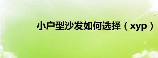 小户型沙发如何选择（xyp）