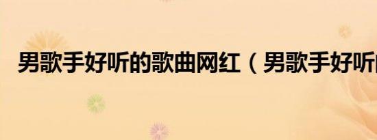 男歌手好听的歌曲网红（男歌手好听的歌）