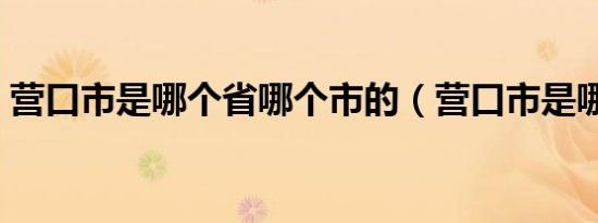 营口市是哪个省哪个市的（营口市是哪个省）