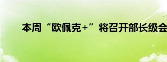 本周“欧佩克+”将召开部长级会议