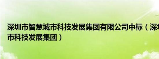 深圳市智慧城市科技发展集团有限公司中标（深圳市智慧城市科技发展集团）