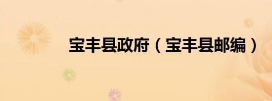 宝丰县政府（宝丰县邮编）