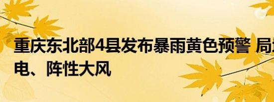 重庆东北部4县发布暴雨黄色预警 局地伴有雷电、阵性大风