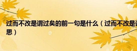 过而不改是谓过矣的前一句是什么（过而不改是谓过矣的意思）