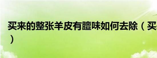 买来的整张羊皮有膻味如何去除（买来的皇后）