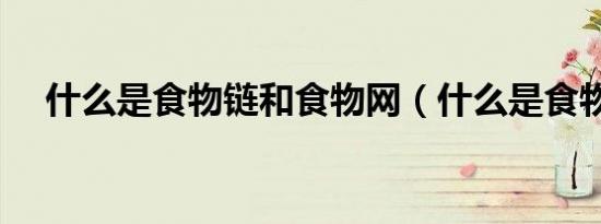 什么是食物链和食物网（什么是食物链）