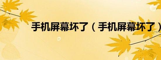 手机屏幕坏了（手机屏幕坏了）