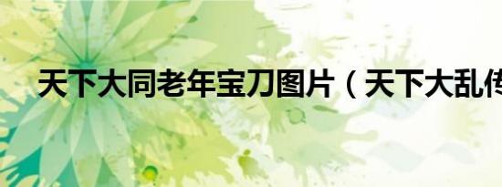 天下大同老年宝刀图片（天下大乱传奇）