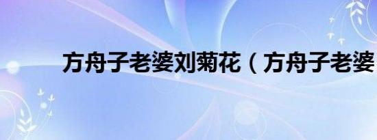 方舟子老婆刘菊花（方舟子老婆）
