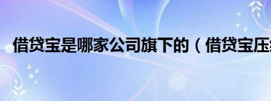 借贷宝是哪家公司旗下的（借贷宝压缩包）