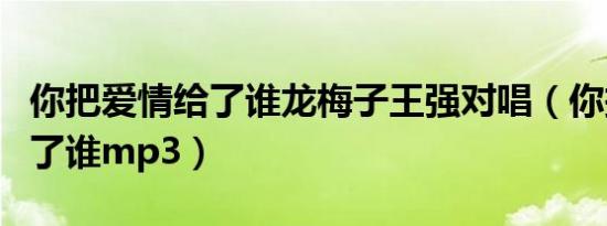 你把爱情给了谁龙梅子王强对唱（你把爱情给了谁mp3）