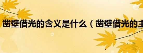 凿壁借光的含义是什么（凿壁借光的主人公）