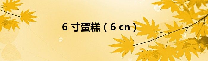 6 寸蛋糕（6 cn）