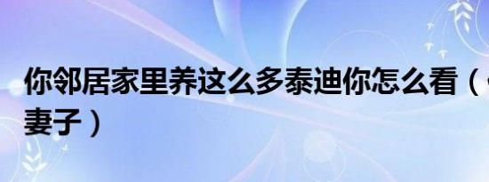 你邻居家里养这么多泰迪你怎么看（你邻居的妻子）