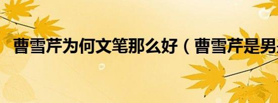 曹雪芹为何文笔那么好（曹雪芹是男是女）