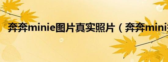 奔奔minie图片真实照片（奔奔mini报价）