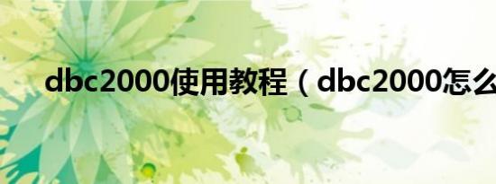 dbc2000使用教程（dbc2000怎么用）