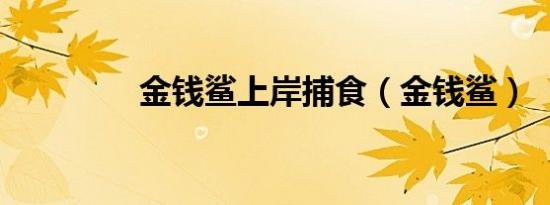 金钱鲨上岸捕食（金钱鲨）