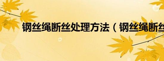 钢丝绳断丝处理方法（钢丝绳断丝）