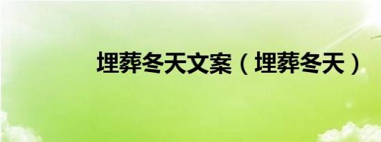 埋葬冬天文案（埋葬冬天）