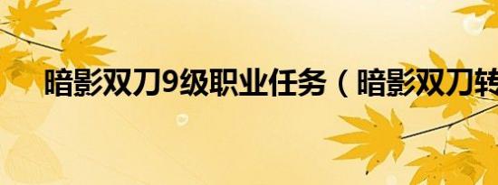 暗影双刀9级职业任务（暗影双刀转职）