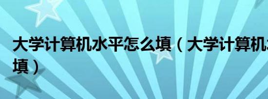 大学计算机水平怎么填（大学计算机水平怎么填）