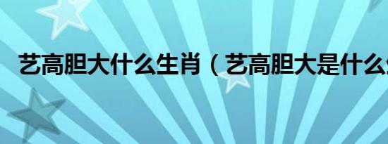 艺高胆大什么生肖（艺高胆大是什么生肖）