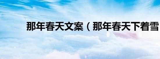 那年春天文案（那年春天下着雪）