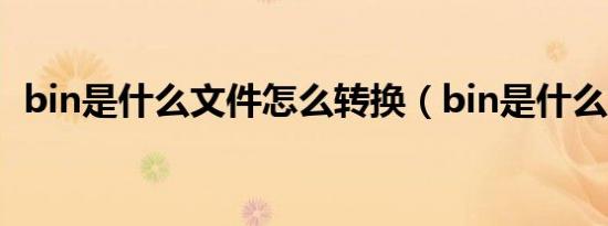 bin是什么文件怎么转换（bin是什么文件）