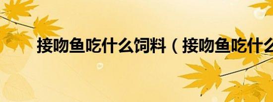 接吻鱼吃什么饲料（接吻鱼吃什么）