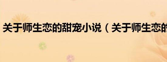 关于师生恋的甜宠小说（关于师生恋的小说）