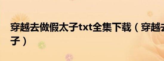 穿越去做假太子txt全集下载（穿越去做假太子）
