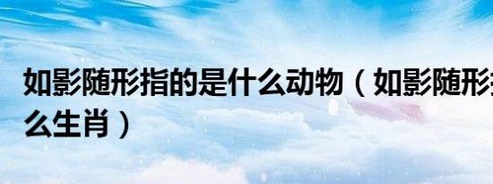 如影随形指的是什么动物（如影随形指的是什么生肖）