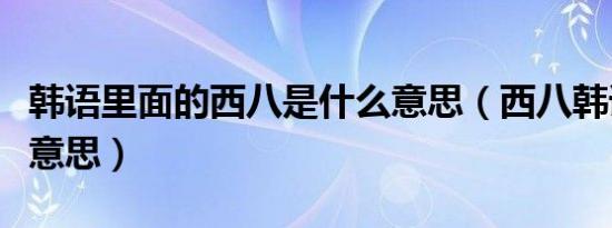 韩语里面的西八是什么意思（西八韩语是什么意思）