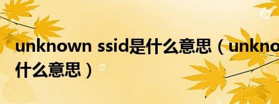 unknown ssid是什么意思（unknown ssid什么意思）