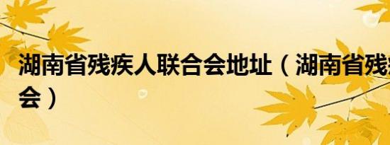 湖南省残疾人联合会地址（湖南省残疾人联合会）