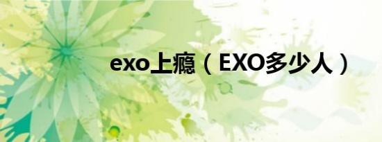 exo上瘾（EXO多少人）