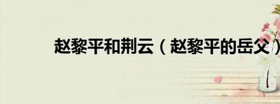 赵黎平和荆云（赵黎平的岳父）