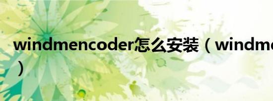 windmencoder怎么安装（windmencoder）