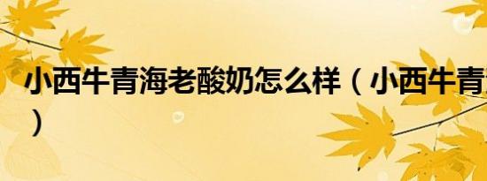 小西牛青海老酸奶怎么样（小西牛青海老酸奶）